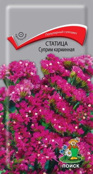 Статица (лимониум)_Суприм Карминовая_0,2_г._Поиск
