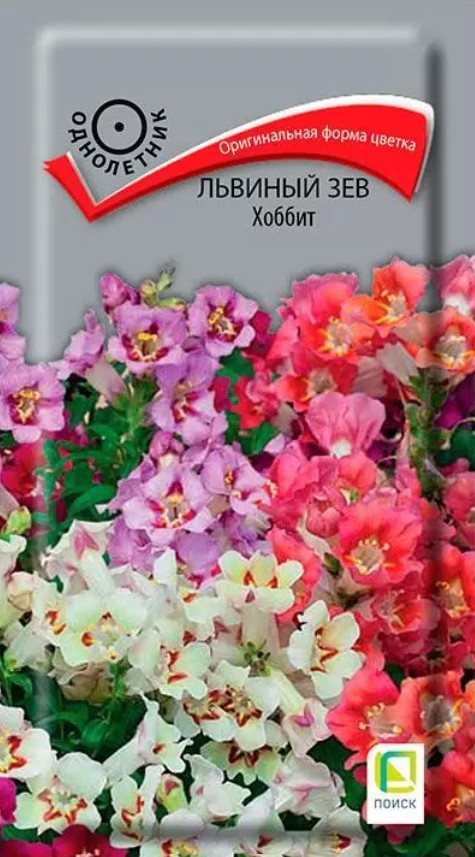 Львиный зев (антирринум)_Хоббит см_0,05_г._Поиск