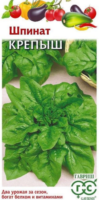Шпинат_Крепыш  Б/П_1_г._Гавриш