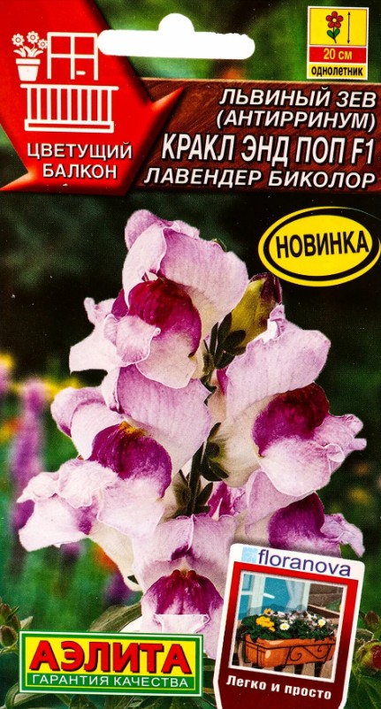 Львиный зев (антирринум)_Кракл энд Поп F1 Лавендер Биколор_7_шт._Аэлита