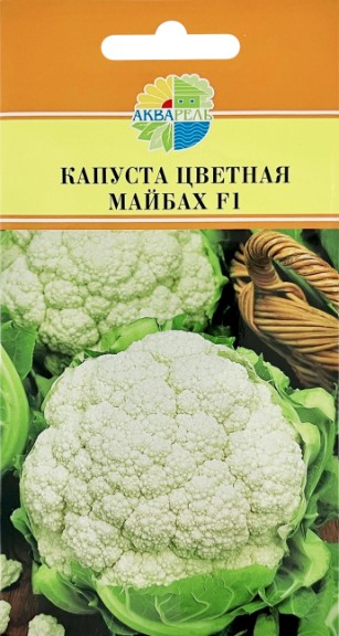 Капуста_цветная_Майбах F1_15_шт._Акварель