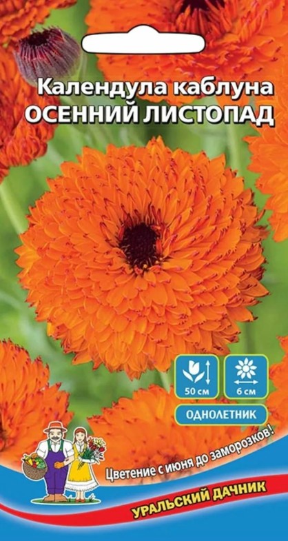 Календула (ноготки)_Каблуна Осенний листопад_0,25_г._Уральский Дачник