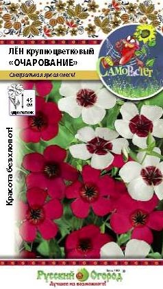 Лен_Очарование см (крупноцветковый)_0,3_г._НК