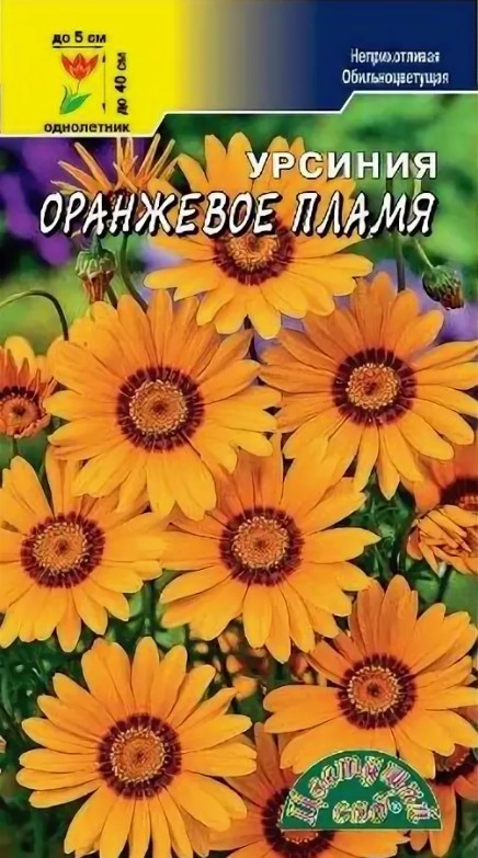 Урсиния_Оранжевое пламя_0,2_шт._Цветущий Сад