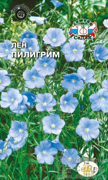 Лен_Пилигрим (небесно-голубой)_0,1_г._Седек