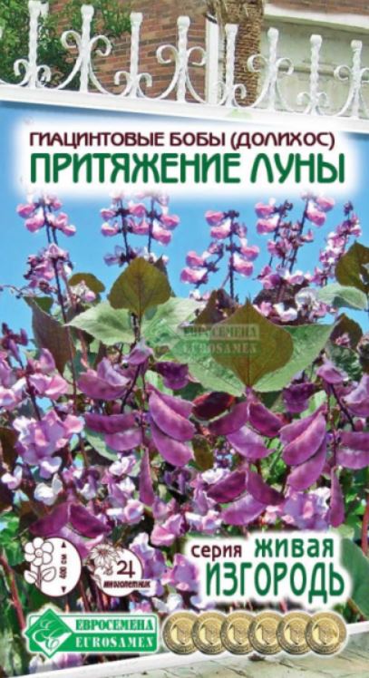 Бобы_Гиацинтовые (долихос) Притяжение Луны (Живая Изгородь)_0,04_шт._ЕВРОСЕМЕНА