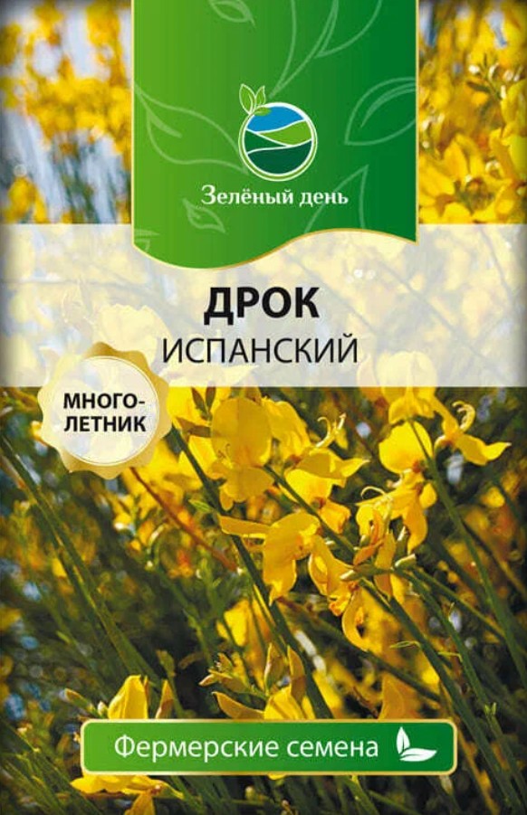 Дрок_Испанский б/ф_10_шт._Григорьев