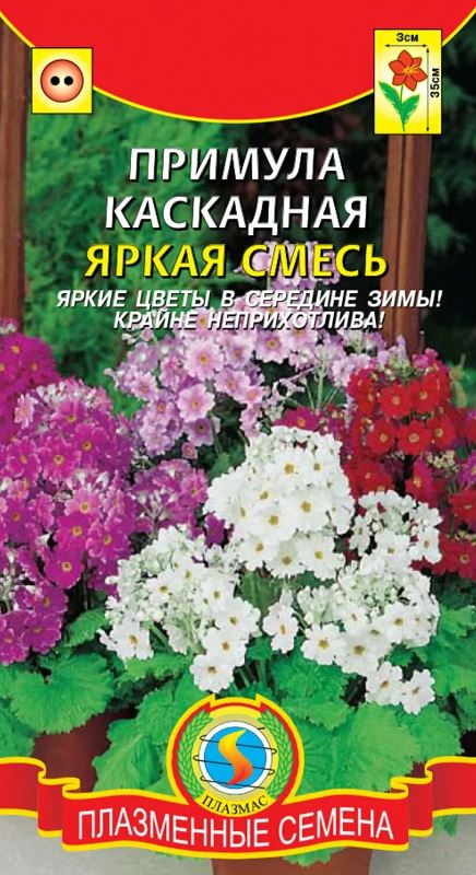 Примула_Каскадная Яркая см_0,04_шт._Плазменные семена