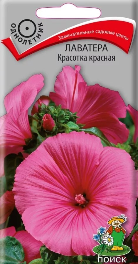 Лаватера (хатьма)_Красотка Красная_0,04_г._Поиск