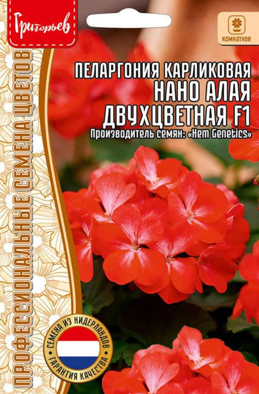 Герань (Пеларгония)_Нано F1 Алая Двухцветная (карликовая ) б/ф_3_шт._Григорьев