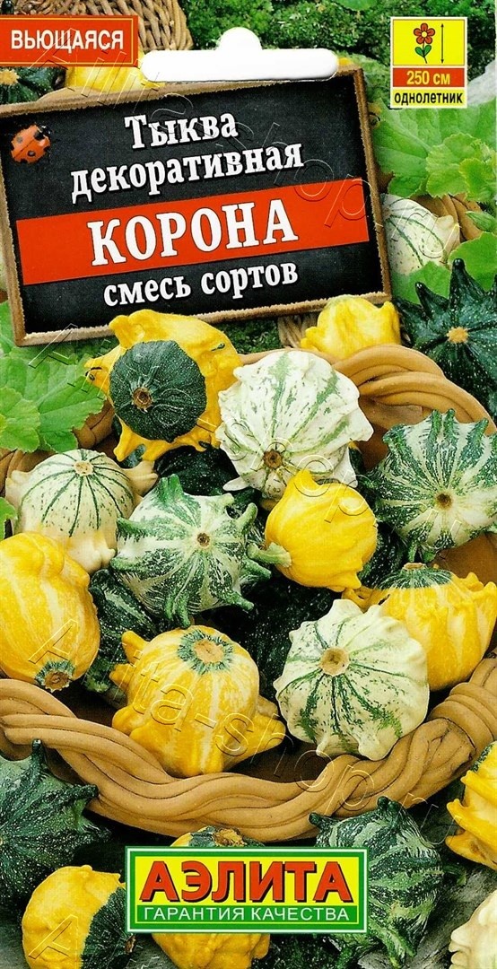 Тыква декоративная_Корона смесь (патиссон)_0,5_г._Аэлита