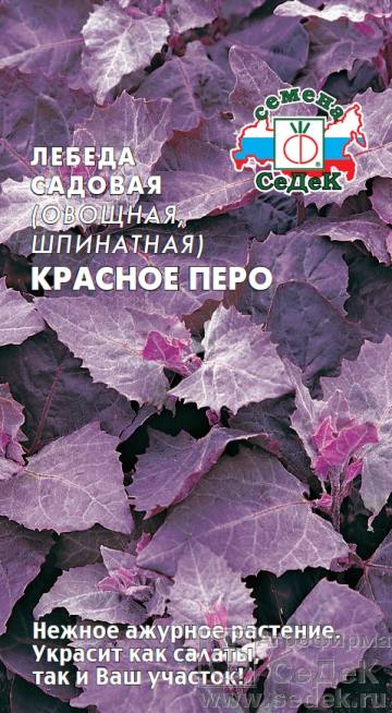 Лебеда_Красное перо (шпинатная)_0,2_г._Седек