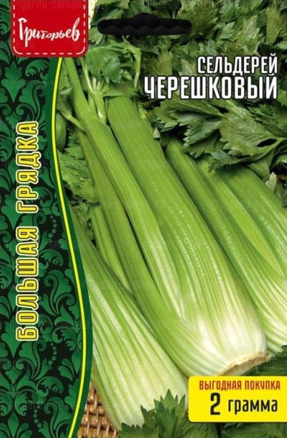 Сельдерей_Черешковый б/ф_2_г._Григорьев