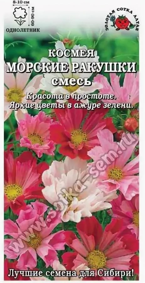 Космея_Морские ракушки см_0,04_г._Золотая Сотка Алтая