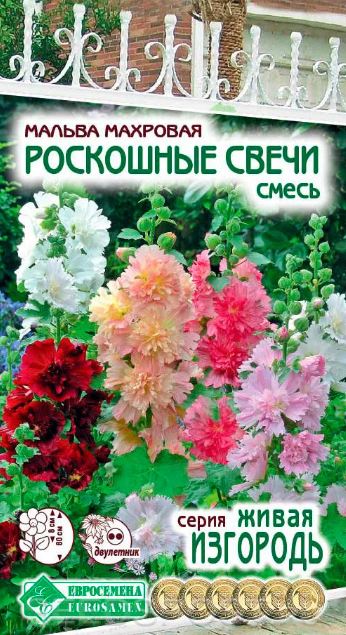 Шток-роза (мальва)_Роскошные свечи см (махр) (Живая Изгородь)_0,2_г._ЕВРОСЕМЕНА
