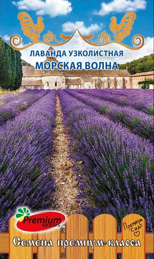 Лаванда_Морская Волна (узколистная)_0,1_г._Премиум Сидс