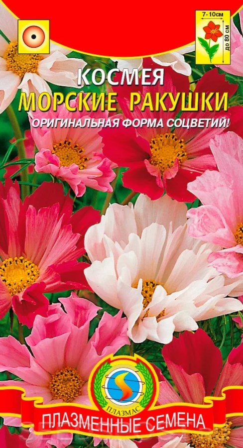 Космея_Морские ракушки см_0,04_г._Плазменные семена