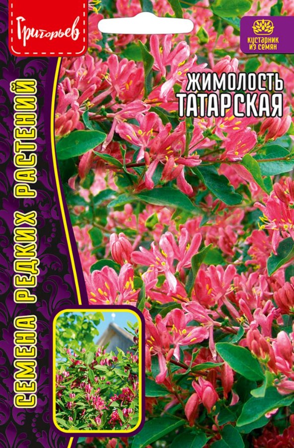 Жимолость_Татарская б/ф_15_шт._Григорьев