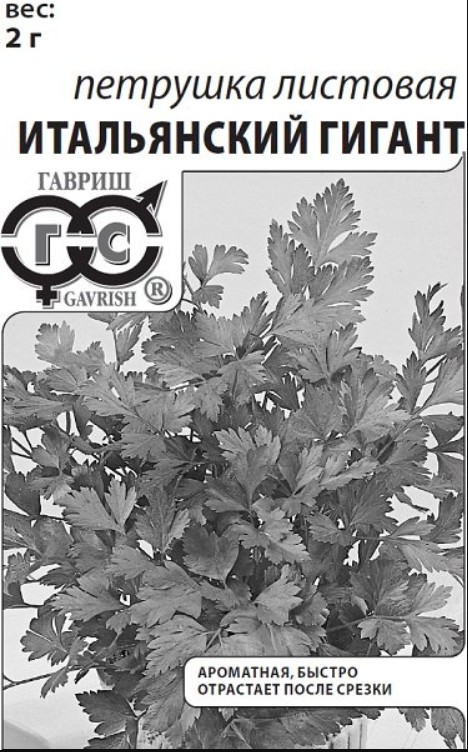 Петрушка_Итальянский гигант (листовая)  Б/П_2_г._Гавриш