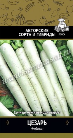 Дайкон_Цезарь_1_г._Поиск