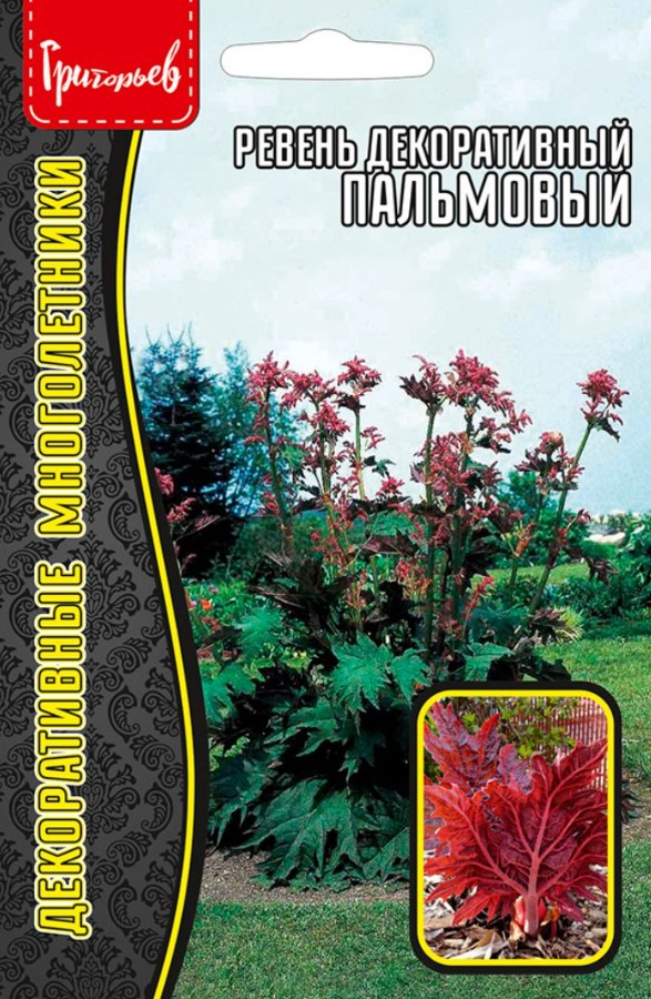 Ревень_Пальмовый (декоративный) б/ф_0,1_г._Григорьев