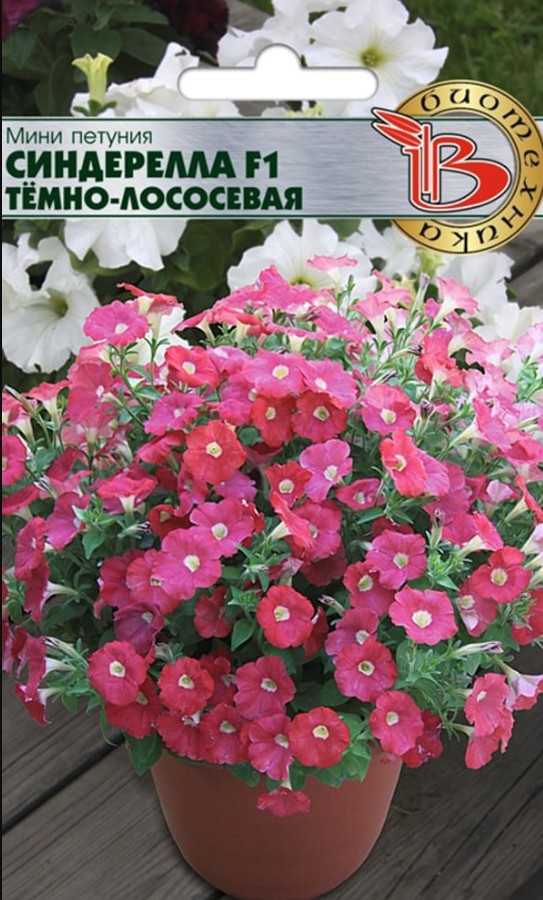 Петуния_Синдерелла F1 Темно-Лососевая (мини)_20_шт._Биотехника