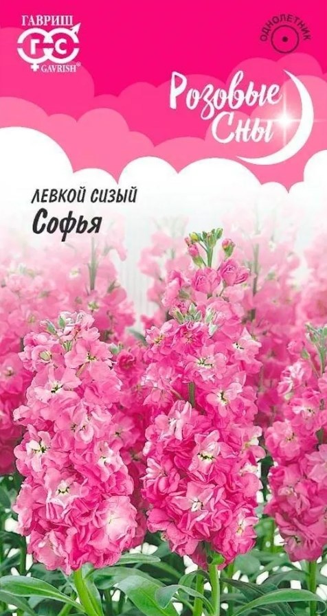 Левкой (маттиола)_Софья (Розовые сны)_0,04_г._Гавриш