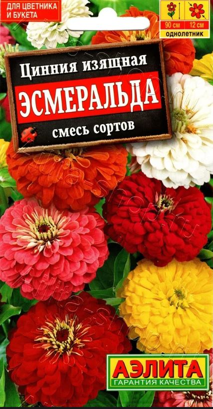 Цинния_Эсмеральда см_0,3_г._Аэлита