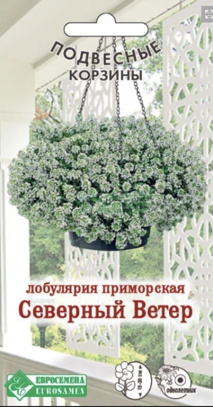 Алиссум (лобулярия)_Северный Ветер (Подвесные Корзины	)_0,04_г._ЕВРОСЕМЕНА