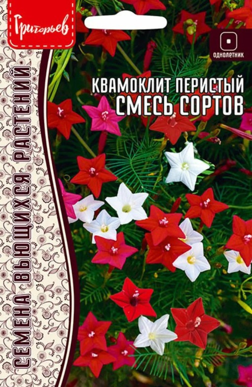 Ипомея_Квамоклит см (перистый) б/ф_15_шт._Григорьев