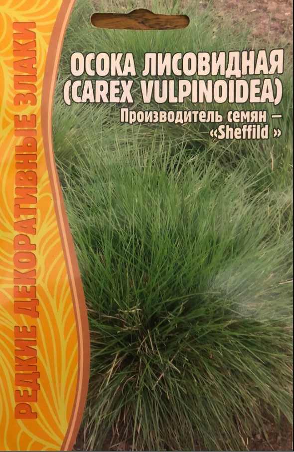 Осока_Лисовидная (Carex vulpinoidea) (злак) б/ф_100_шт._Григорьев