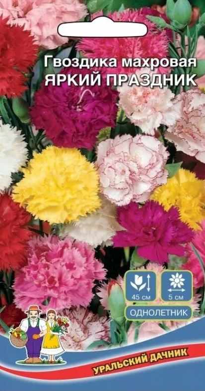 Гвоздика_Яркий Праздник_0,04_г._Уральский Дачник