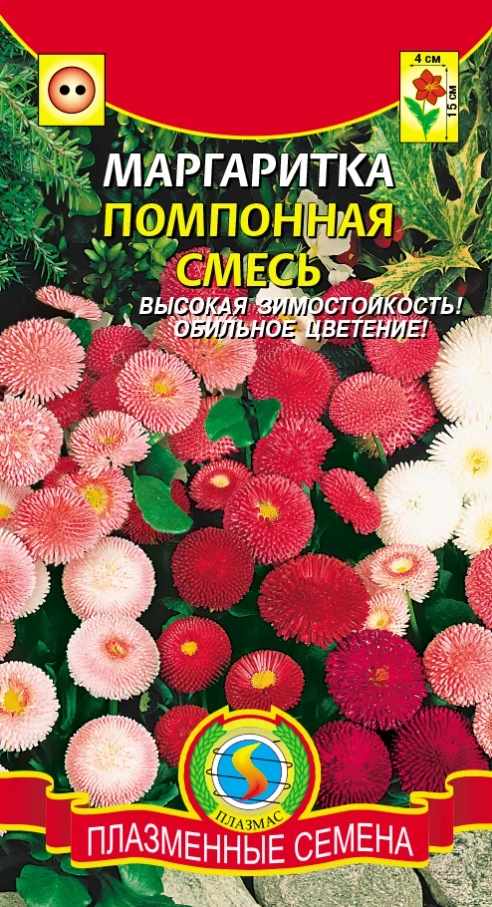 Маргаритка_Помпонная см_0,04_г._Плазменные семена