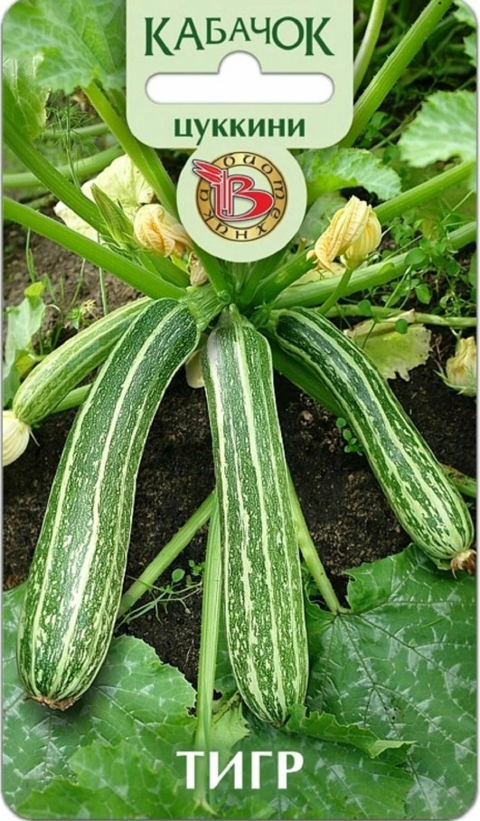 Кабачок_Тигр (цуккини)_8_шт._Биотехника