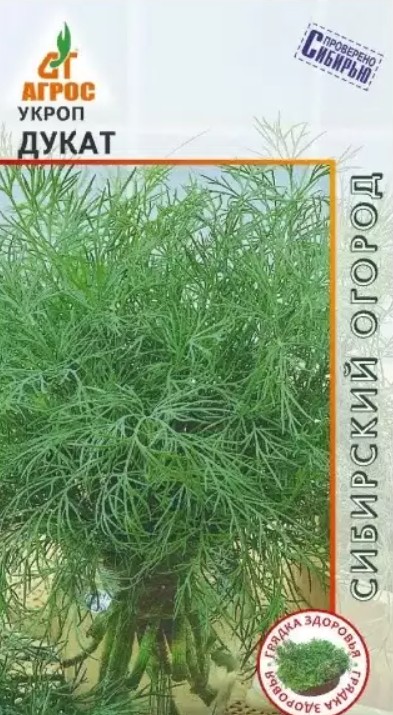 Укроп_Дукат (Сибирский Огород) (Проверено Сибирью)_2_г._АГРОС