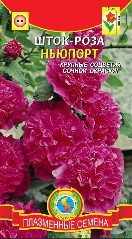 Шток-роза (мальва)_Ньюпорт_0,1_г._Плазменные семена