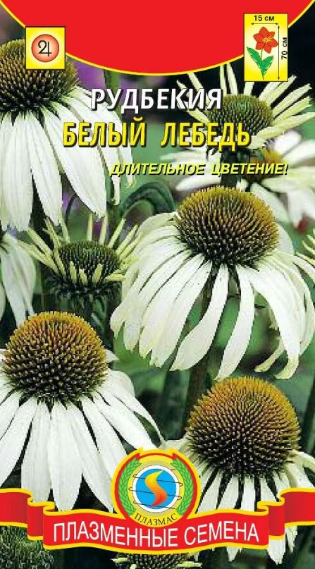 Рудбекия_Эхинацея Белый Лебедь_0,04_г._Плазменные семена