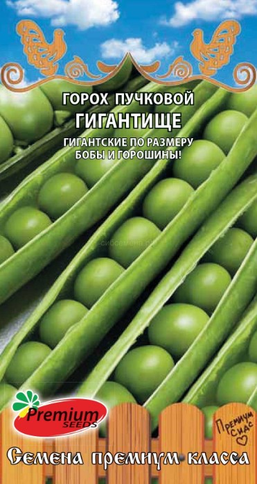 Горох_Гигантище (США) (пучковый)_3_г._Премиум Сидс