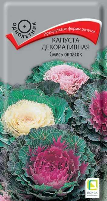 Капуста_декоративная_Смесь окрасок_0,04_г._Поиск