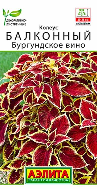 Колеус_Бургундское Вино (балконный)_0,04_шт._Аэлита