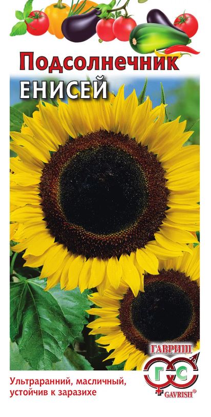Подсолнечник_Енисей_0,04_г._Гавриш