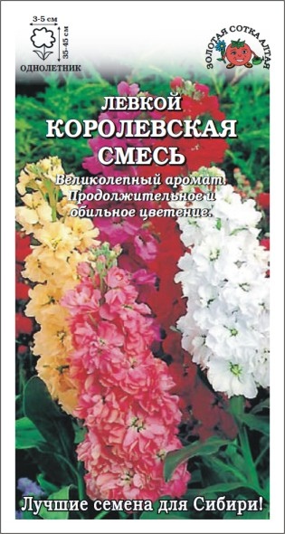 Левкой (маттиола)_Королевская см низкий_0,1_г._Золотая Сотка Алтая