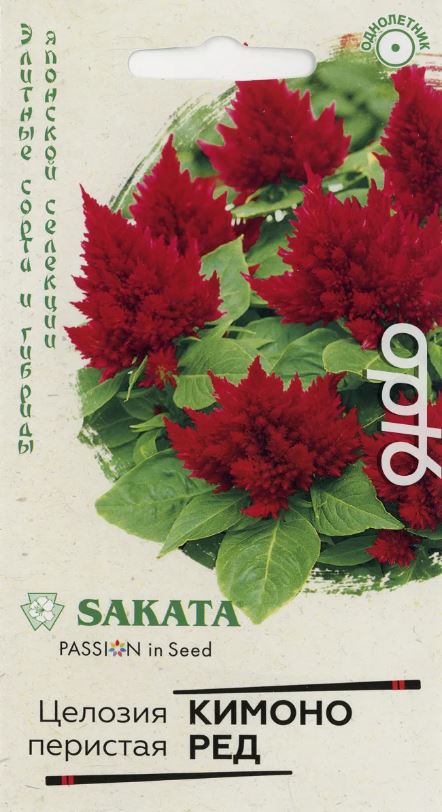 Целозия_Кимоно Ред (перистая) (Sakata)_8_шт._Гавриш