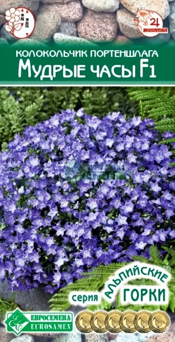 Колокольчик_Мудрые часы (портеншлага) (Альпийская Горка)_0,04_шт._ЕВРОСЕМЕНА