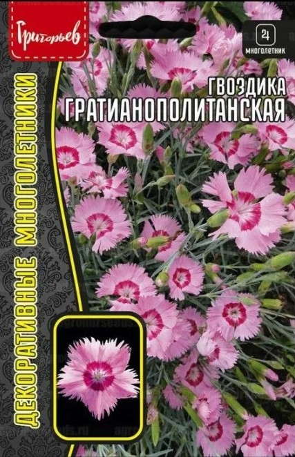 Гвоздика_Гратианополитанская б/ф_0,05_г._Григорьев
