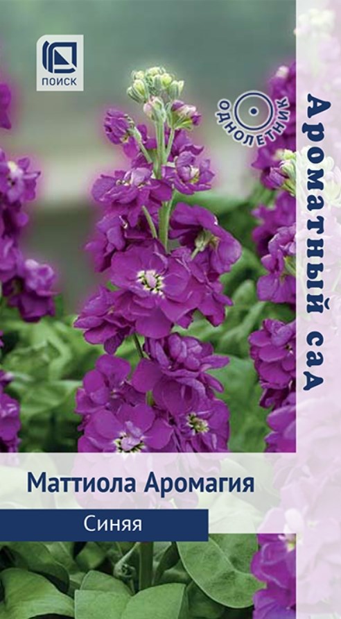Левкой (маттиола)_Аромагия Синяя (Ароматный сад)_0,04_г._Поиск