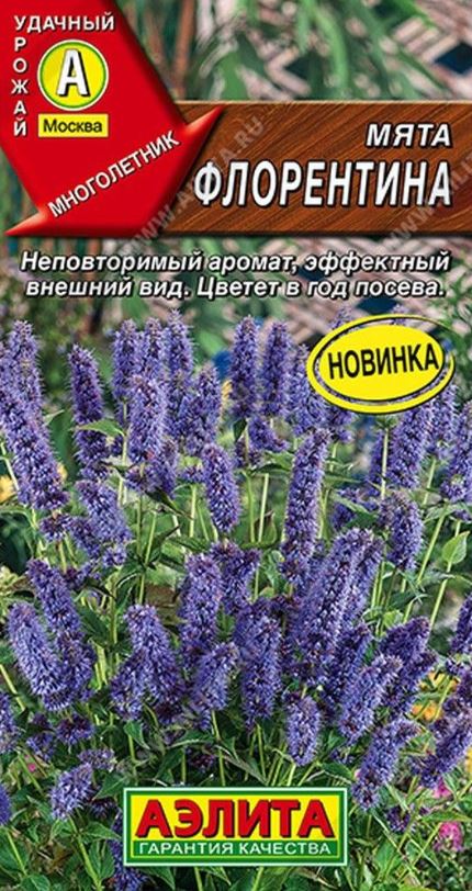 Мята_Флорентина_0,04_г._Аэлита
