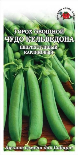 Горох_Чудо Кальведона (неприхотливый карликовый)_10_г._Золотая Сотка Алтая