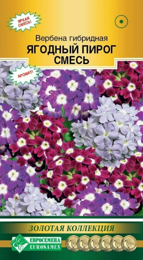 Вербена_Ягодный Пирог см (Золотая Коллекция)_10_шт._ЕВРОСЕМЕНА