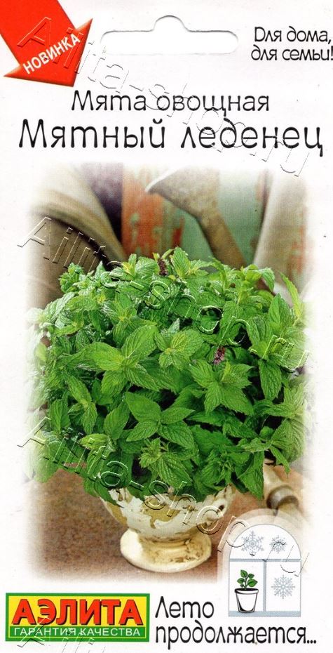 Мята_Мятный Леденец_0,04_г._Аэлита